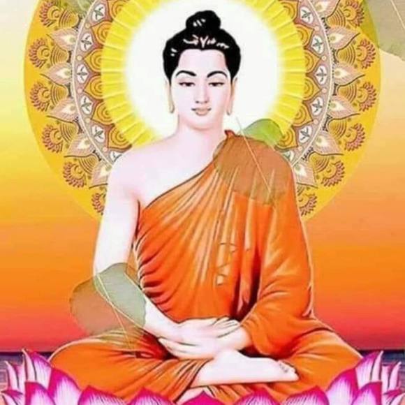 Meet your Posher, Jonny - Picture 1 of 1